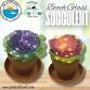 Beach Glass Succulent event in Ira Township, MI