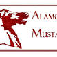 Alamo 50 year reunion event in Houston, TX