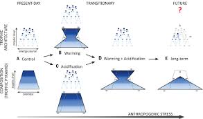 The trophic level of an organism is the number of steps the organism is from the beginning of the chain. Trophic Pyramids Reorganize When Food Web Architecture Fails To Adjust To Ocean Change Science