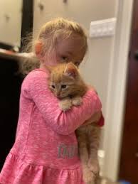 Many of our past adoptive families say, they seem to know that you are their rescuer. if you have the social responsibility to adopt a shelter dog. Almost Home Foundation Almost Home Foundation Rescuing Homeless Cats Dogs