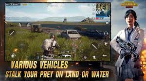 Cara Download Pubg Lite Bisa Untuk Pc Dengan Spek Kentang Tribun Pekanbaru