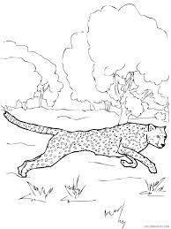 Paint the fastest land animal in the colors yellow, black and brown or let the imaginative children love painting cheetah coloring, as these pictures not only make them familiar with the animals, but also helps them to. Printable Cheetah Coloring Pages Coloring4free Coloring4free Com