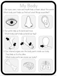My Body Circle Time Questions This Or That Questions Circle Time Body