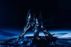 Bildergebnis für Joshua Serafin