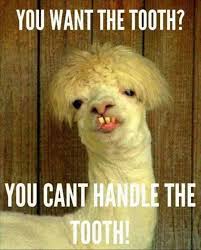 Tfi Retro On Twitter Happy Friday Eve Meme Of The Day Zee Animals Best Funny Animal Meme Wins 8pm Deadline Goooooooooooooooo Memes Memeday Https T Co Wcklxtavqn Thursday motivation thursday friday friday meme thursday images sunday humor. tfi retro on twitter happy friday eve