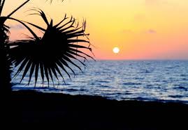 We did not find results for: Sunset Background Free Stock Photos Download 12 972 Free Stock Photos For Commercial Use Format Hd High Resolution Jpg Images