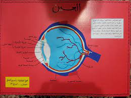 اجزاء العين movie posters movies poster