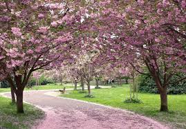 05 martie 2019, sfatul parintilor, vizualizări Azi E Echinoctiul De Primavara Cand Se Schimba Ora Jurnalul Prahovean