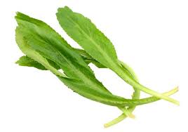 You can also mix these. What Is Culantro Eryngium Foetidum Discover Interesting Facts About Culantro