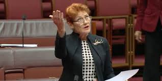 Senator Pauline Hanson's Speech On The Queensland Education System. - ONE NATION QUEENSLAND