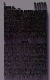 Image result for Megalastrum lanuginosum