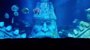 30 Minutes Aquarium Relaxing Music For Stress Relief Music For Sleep In 2020 Relaxing Music Meditation Music Sleep Stress Relief Music