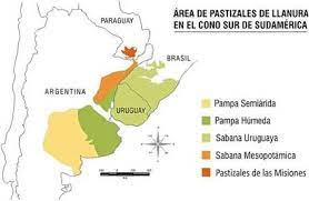 The main area is limited by pergamino, venado tuerto, and rosario, committed specially to producing corn, wheat, soy, and sorghum. What Are The Grasslands Birdlife