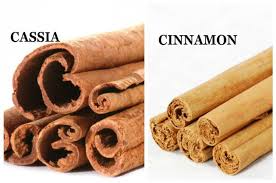 Cinnamon(dalchini) cinnamon is one of the most important spices used daily by people all over the world. Buying Cinnamon At A Store Watch Out For Its Dangerous Lookalike Cassia The News Minute