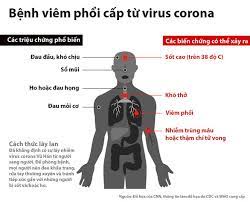 Cùng ngày, bệnh nhân biểu hiện mệt mỏi, đau đầu, sốt nhẹ nên đã được chuyển cách ly tại bệnh viện đa khoa hà đông. Viem Phá»•i Cáº¥p Do Virus Corona Dáº¥u Hiá»‡u Pp Ä'iá»u Trá»‹ Cach Phong