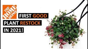 Maybe you would like to learn more about one of these? Olathe Flower Shops Jobs Ecityworks