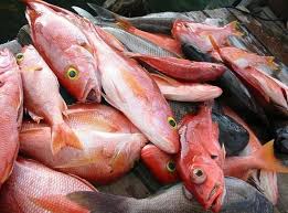 300 gram kepala ikan kakap, 2 buah jeruk nipis, 10 buah cabai (cabe) merah, 6 siung bawang merah, 3 siung bawang putih, 4 cm jahe, 4 cm kunyit, 5 cm lengkuas (laos), 2 lembar daun salam, 1 lembar daun kunyit, 1 batang serai, 3 lembar daun jeruk, 1 sendok teh ketumbar. Resep Dan Cara Membuat Gulai Kakap Khas Padang Yang Enak Abis