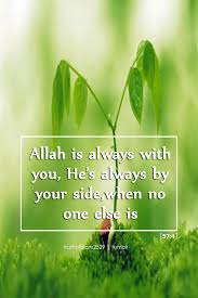 Tanaman ini dapat tumbuh hingga tinggi. Always With You More Islamic Quotes Here Inspirational Islamic Quotes