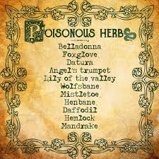 Good To Know For Grandkids Livestock Don T Want Accidental Ingestions Odd That Azalea Isn T On This List Magical Herbs Witch Herbs Herbal Magic