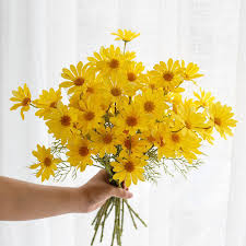 Jun 05, 2020 · daisy mae's turnip prices will be different each sunday and range from 90 bells to over 100 bells. Buy White Yellow Daisy Artificial Flowers For Home Decor Wedding Decorations Plastic Silk Fake Flowers At Affordable Prices Free Shipping Real Reviews With Photos Joom