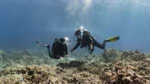 How to get scuba certified in 2 easy steps. Learn To Scuba Dive In Kona With Kona Honu Divers