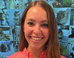 The MSPCA-Angell and Northeast Animal Shelter Merge Technology and Staffing  Advances in the Past Year