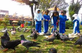 Wisata » harga tiket » harga tiket masuk waterpark bandungan juni 2021. Santa Sea Waterpark Tiket Wahana Juni 2021 Info Wisata