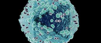 Последние твиты от viruss (@officialviruss). Viruses Aren T All Bad Here S Why World Economic Forum