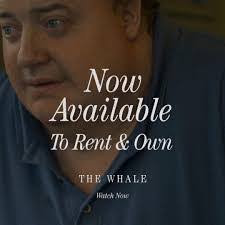 Polly Ettinger's Instagram, Twitter & Facebook