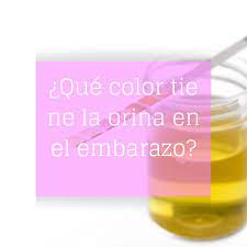 Pin En Test Embarazo Y Ovulacion