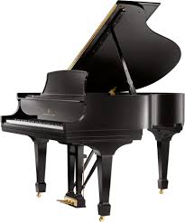 For The Conservatory Steinway Grand Piano Steinway Piano Steinway