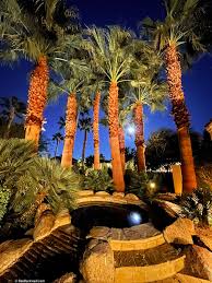 If you want a complete indoor garden kit, opt for the aerogarden harvest elite ( view at amazon ), which comes with a starter pack of seeds. Iphone 12 Pro Max Camera Review