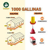 Galpón y equipo para 1000 gallinas ponedoras. Aprende con ...