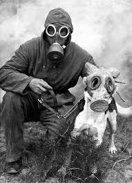 Finally have some more time to draw after moving to the new house :d still not finished with moving all the inventory but slowly getting there! Stunning Vintage Photos Of Pets Wearing Gas Masks During The World War I