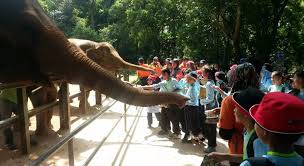 Melaka zoo is the second largest in malaysia. A Detailed Guide To Melaka Zoo And Night Safari Kkday Blog