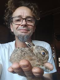 Can a baby hare be returned to the area it was taken from and reunite with  its mother after being handled and fed goat milk?