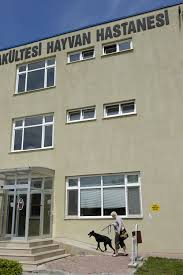 Bavul Haber Ozel