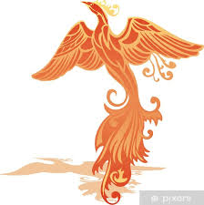 Some legends say it dies in a show of flames and combustion, others that it simply dies and decomposes before being born again. Phoenix Bird Sheer Window Curtain Pixers We Live To Change