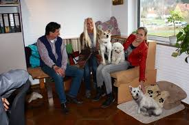 Blutiger vorfall heizt diskussionen an. Fruhstucksfernsehen Auf Sat 1 Mit Dr Christine Theiss Tierhilfe Franken E V