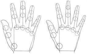 How To Draw Hands Part 1 Construction Rapidfireart Either draw pixel by pixel, all the coordinates where the finger is moving, if you want it to follow the finger => in the end, it will not be one line. how to draw hands part 1 construction