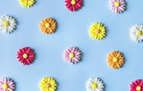 We did not find results for: Wallpaper Flowers Background Blue Colorful Blue Flowers Images For Desktop Section Tekstury Download
