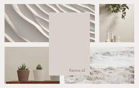 Check spelling or type a new query. The Announcement Of Ravine 62 As Plascon S Neutral Of The Year Tells Us That Even Though It Has Plascon Paint Colours Plascon Colours Color Of The Year 2019
