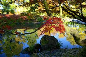 Herbst Im Japanischen Garten Bonn Gartenanlage Japanischer Garten Garten