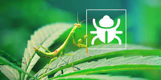 When your plants start dying or tunnels and holes appear in the yard, an underground pest is a likely culprit. Pesky Bugs Insects How To Grow Weed