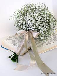 Maybe you would like to learn more about one of these? Baby Breath Bouquet Babies Breath Gerbera Daisy Wedding Babys Breath Bouquet Daisy Wedding Gerbera Daisy Wedding