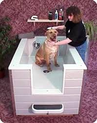 Pin By Elizabeth Cleary On Dogs Dog Wash Dog Bath Dog Bath Tub