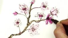 Easy How to Draw a Sakura Cherry Blossom Branch - YouTube