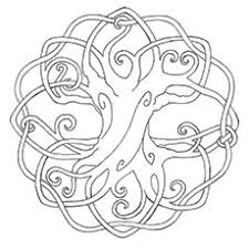 Old holm oak, evergreen tree. Top 25 Tree Coloring Pages For Your Little Ones