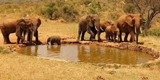5 Days Jinja tour Uganda Safari – Uganda Safari Holidays
