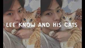 172 cm (5'8″) blood type: Lee Know And His Cats Youtube